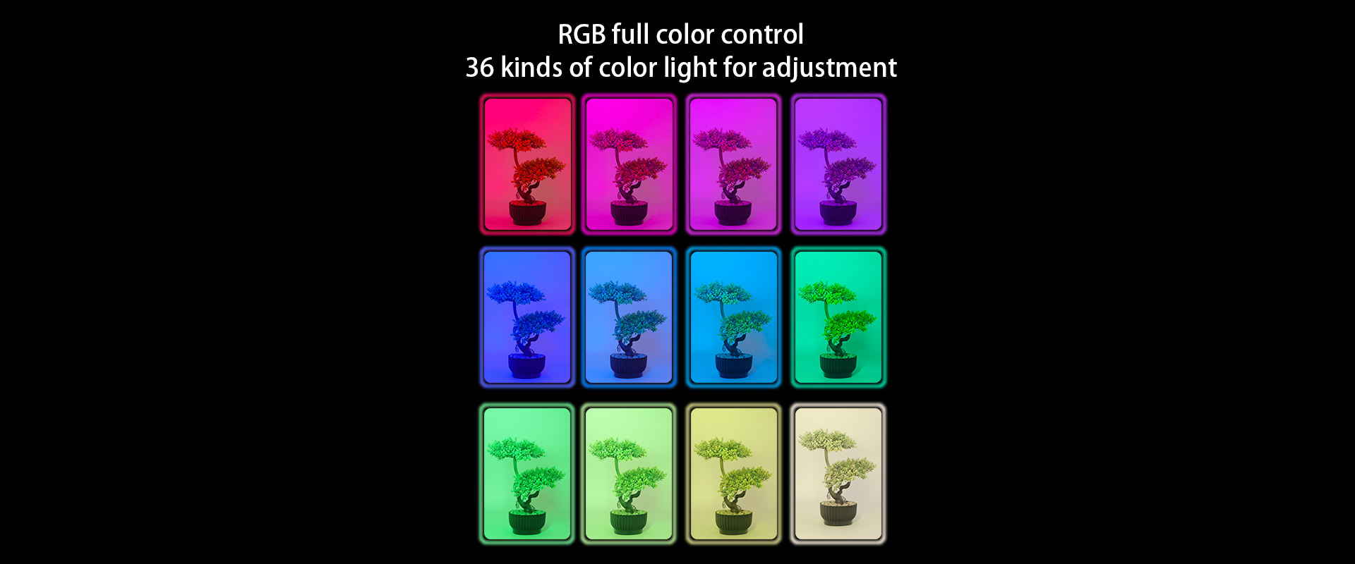 LUXCEO Q508A RGB LED photography light has RGB full color control with 36 kinds of color lights for adjustment. Multiple potted plants are illuminated with a variety of vibrant colors.